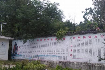 乡村文化建设的主体
