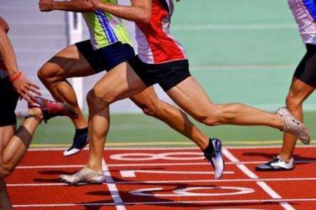 800米属于什么项目