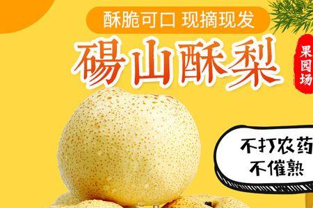砀山梨为什么核特别大