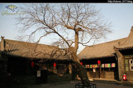 平遥古城为什么没有树