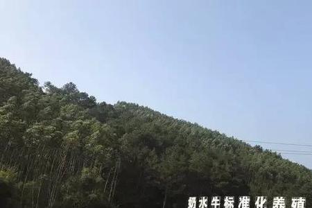 南宁有多少个奶厂