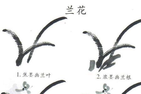 如何学国画