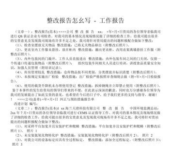 整改方案的总体要求怎么写