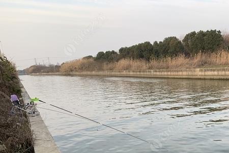 马家湾泾河让钓鱼吗