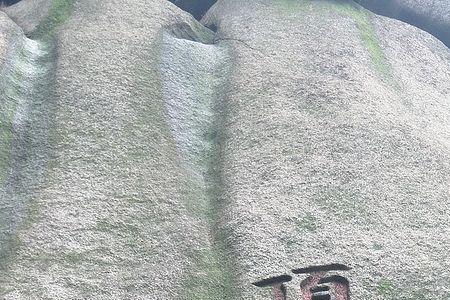 鼎天立地含义