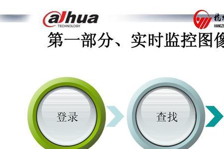 dss视频是什么意思