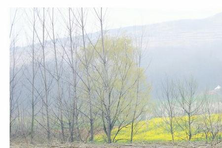 阡陌造句