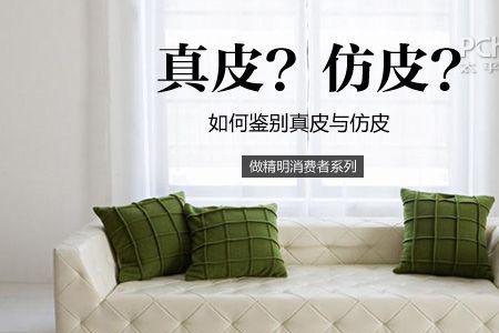 西皮与真皮区分