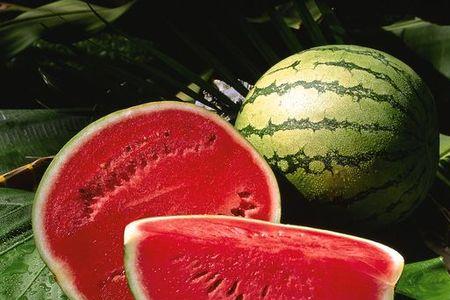 watermelon可数还是不可数名词
