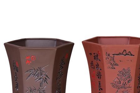 紫砂花盆种蓝花的是那一种