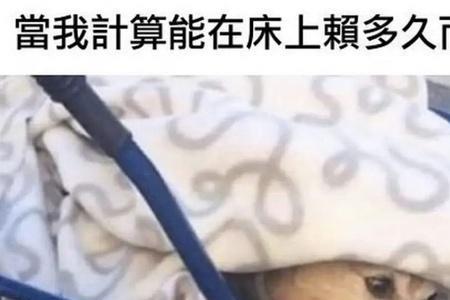 困困觉觉什么梗