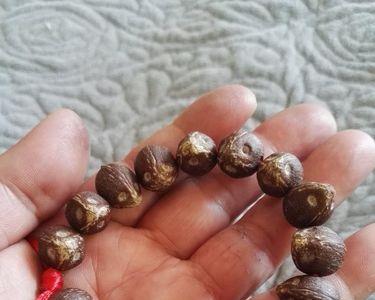 原皮紫金鼠发毛了怎么清理