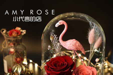 火烈鸟玫瑰适宜温度