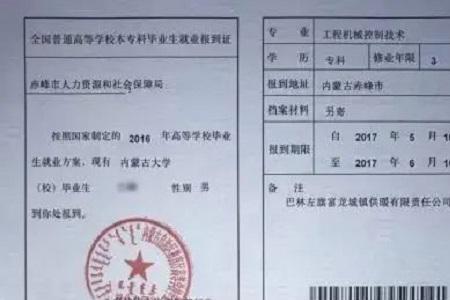 毕业十年考编还需要报到证吗