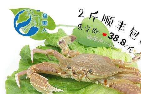 扁蟹和梭子蟹哪个好吃