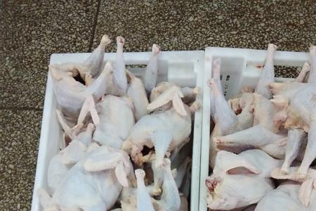 网上卖冰鲜鸡靠谱不