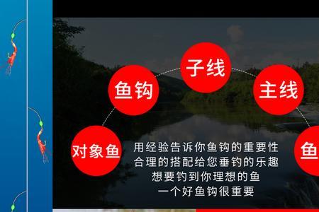 串钩钓鲤鱼用什么钩多大号的