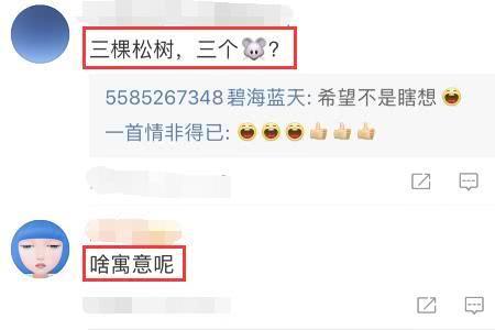 新成员是什么意思