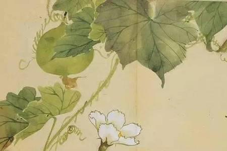 诗经里竹漪的意思