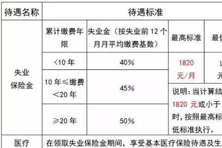 在北京缴纳社保多久可以生孩子