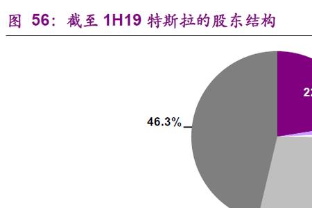 特斯拉股东人数