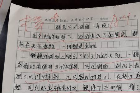 静态描写和动态描写写一段话50字