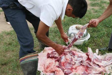 牧民怎么煮羊肉