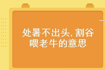 不字第三次出不出头