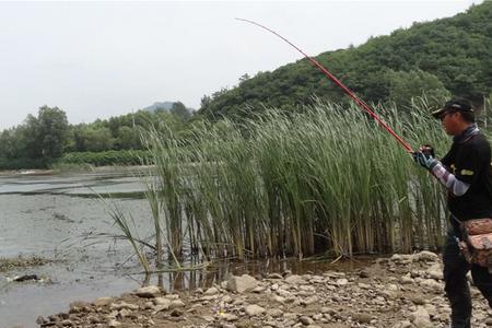 路亚轻雷什么意思