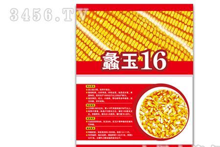 鲁星217玉米种怎么样