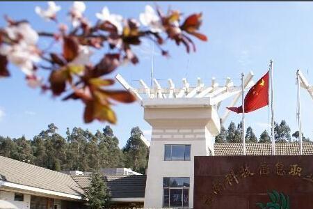 启东科信技工学校是专科嘛