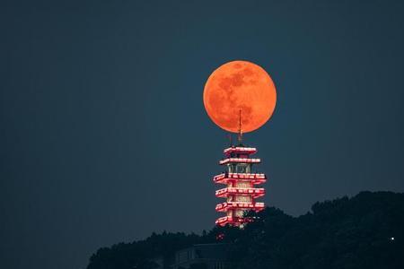 今年的月全食周口能看到吗