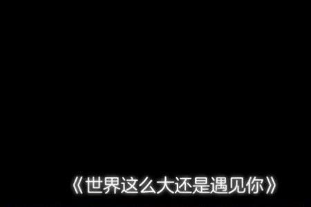 世界这么大还是遇见你主持词