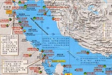 被誉为世界柚王的职务是什么