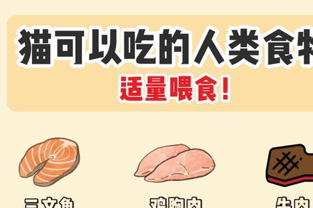 猫咪十大必吃食物