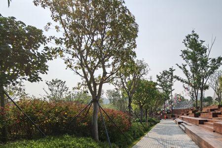 桂湾公园可以烧烤吗