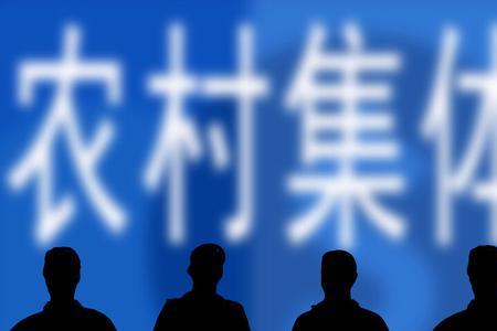 什么叫村集体成员