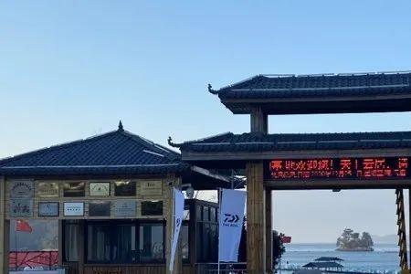 达瓦鱼之恋是正品吗