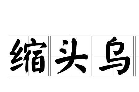 没有没脑的近义词
