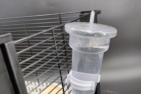 仓鼠没有水壶用什么代替