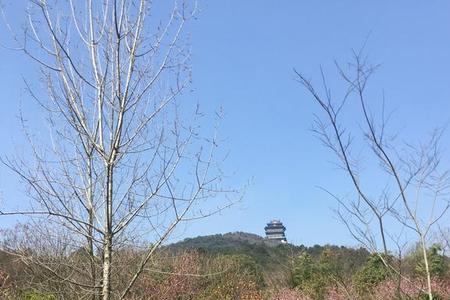 临沂皇山公园开放时间