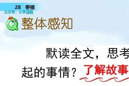 枣核还能做什么聪明的事