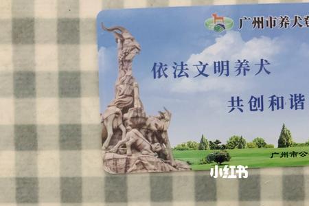 广州养猫需要办什么证