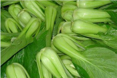 七月青菜有哪些