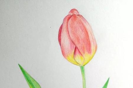 彩铅画适合儿童学吗