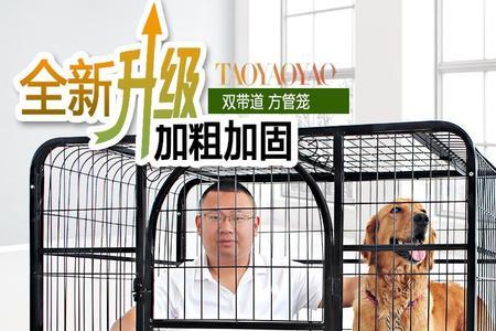 什么狗笼子适合放家里
