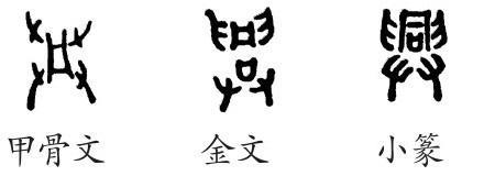 兴字往下是什么辈