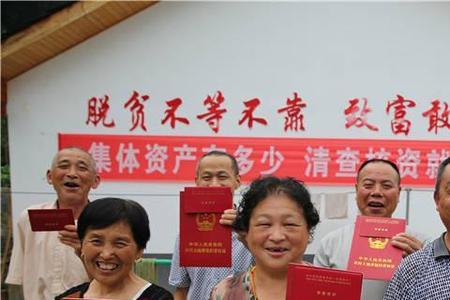 农村承包地补贴是哪一年