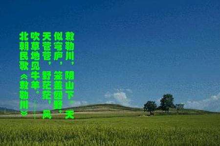 苍苍茫茫的天涯路歌曲完整版