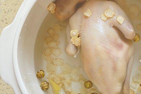 花旗参鸽子汤怎么做